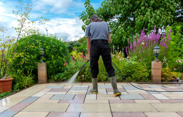 Best Animal Enclosure Cleaning  in Hastings, PA
