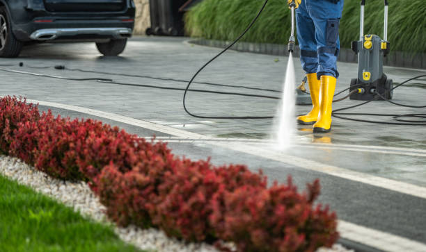 Best Building Exterior Washing  in Hastings, PA